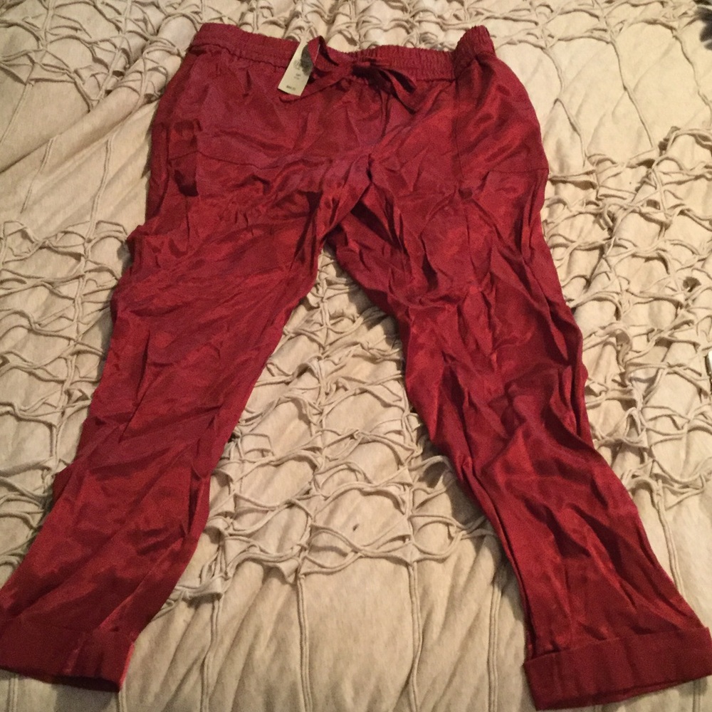 LOFT Pants