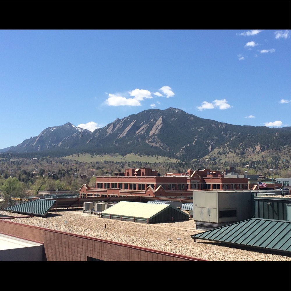 Meet your Posher, Lacey