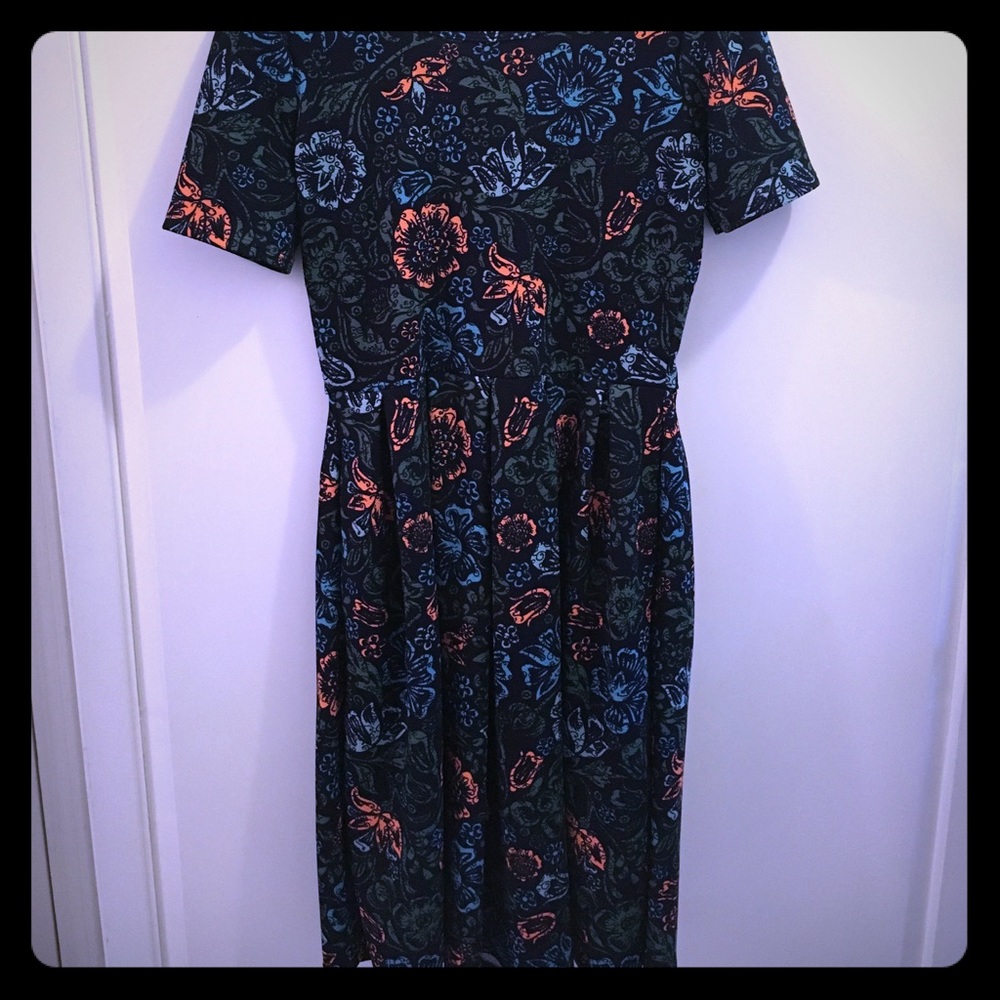 LuLa Roe Amelia dress