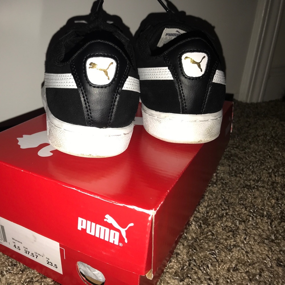 Pumas - Picture 4 of 8