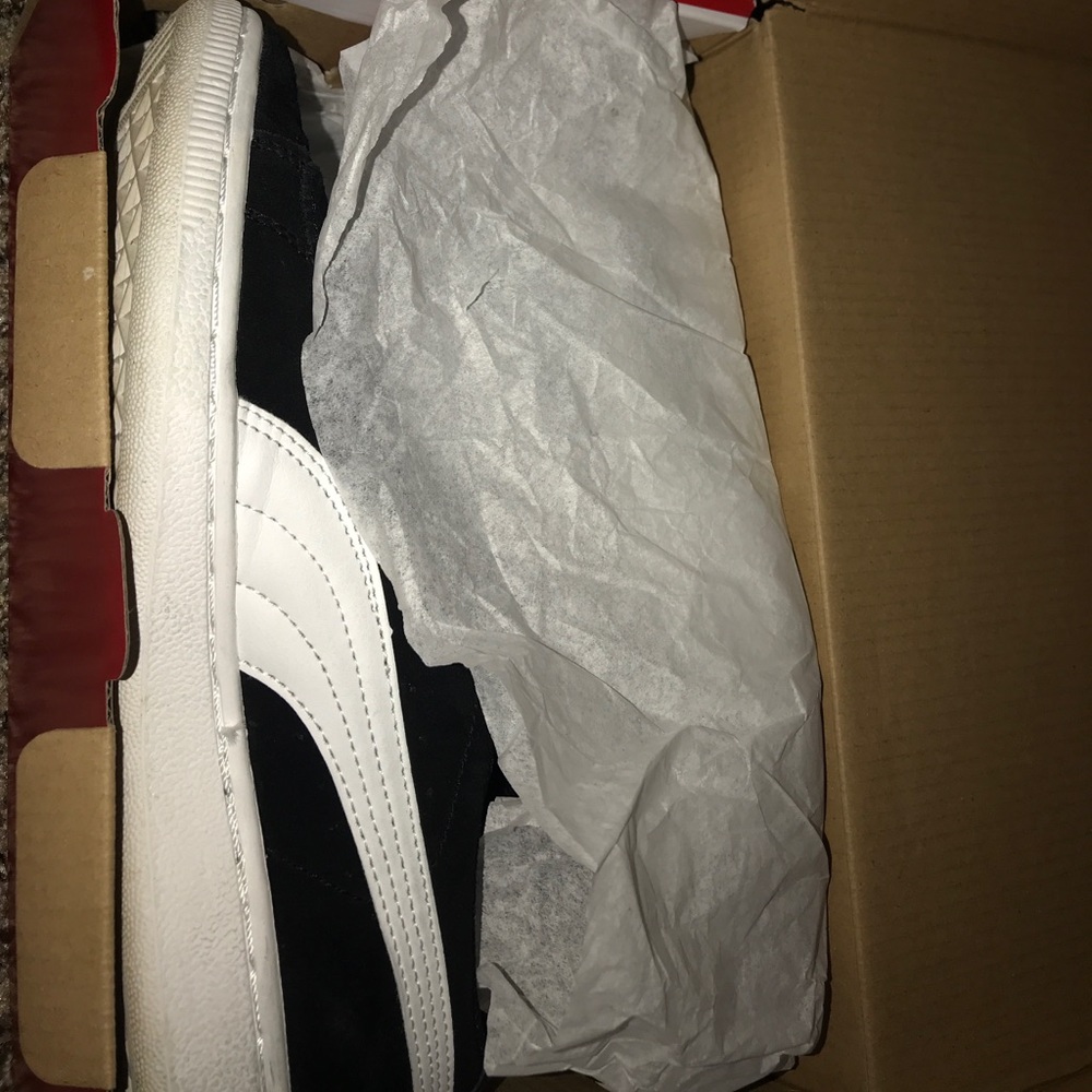 Pumas - Picture 6 of 8