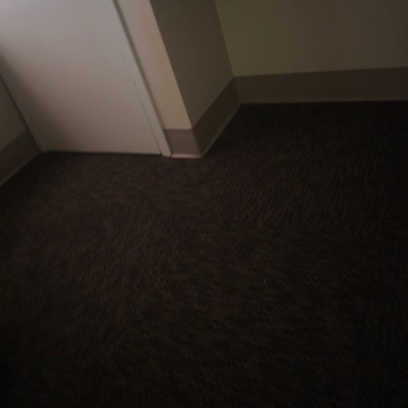 Meet your Posher, Javaris - Picture 1 of 1