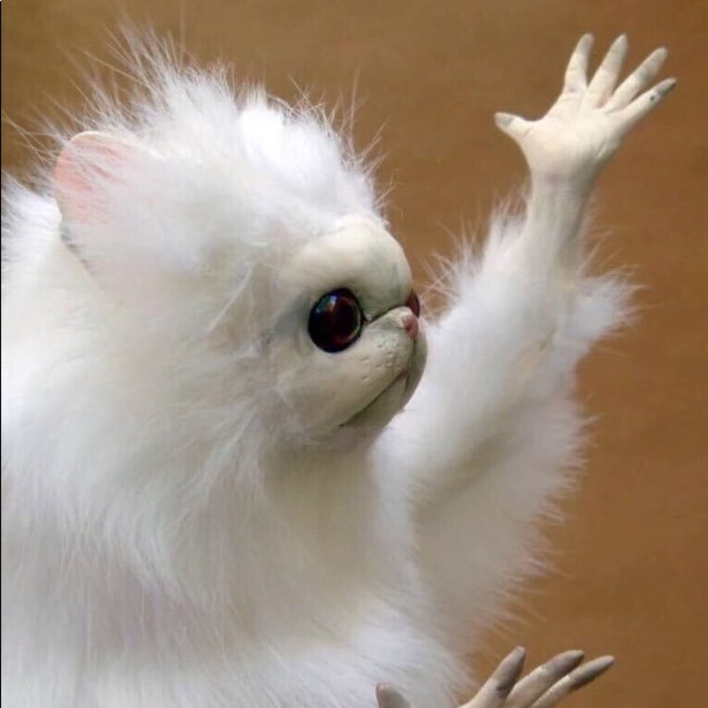 Meet your Posher, Grant