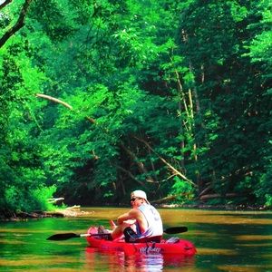 Meet your Posher, Dylan