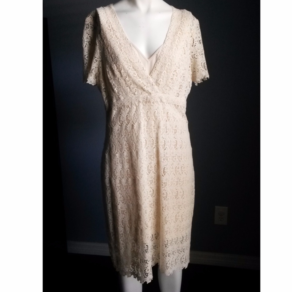 BCBGMaxAzria Day Rayon Lace S/S Dress SZ10 - Picture 1 of 6