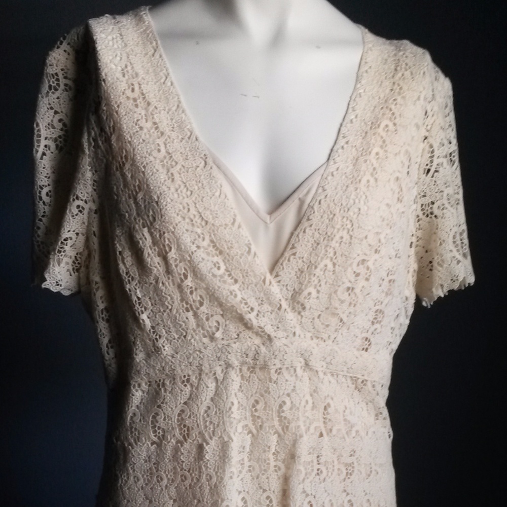 BCBGMaxAzria Day Rayon Lace S/S Dress SZ10 - Picture 2 of 6