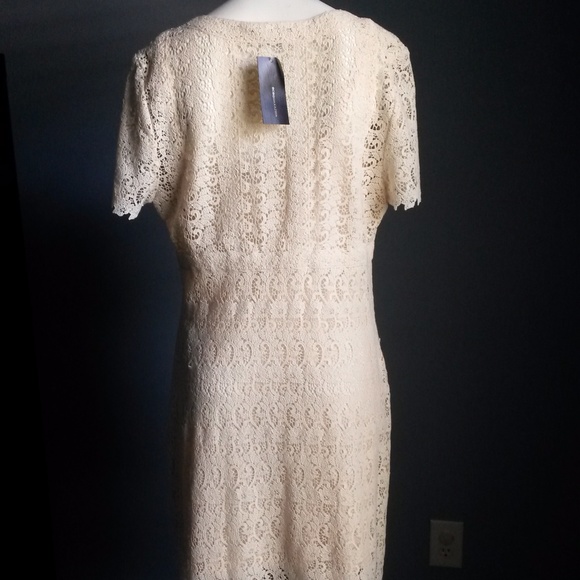 BCBGMaxAzria Day Rayon Lace S/S Dress SZ10 - Picture 5 of 6
