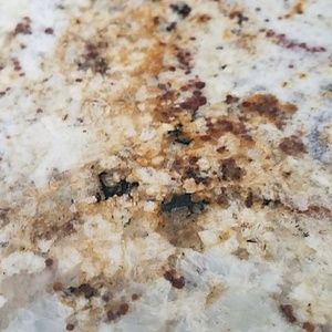 Meet your Posher, Charlie