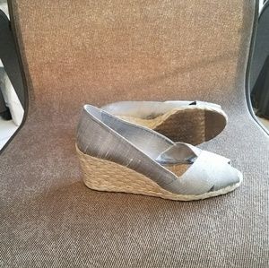 Silver Silk Wedges