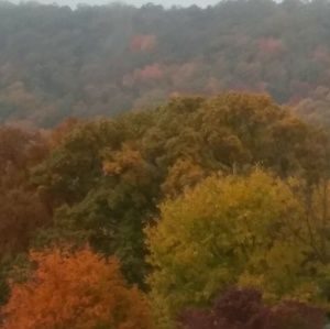 Meet your Posher, Tamera