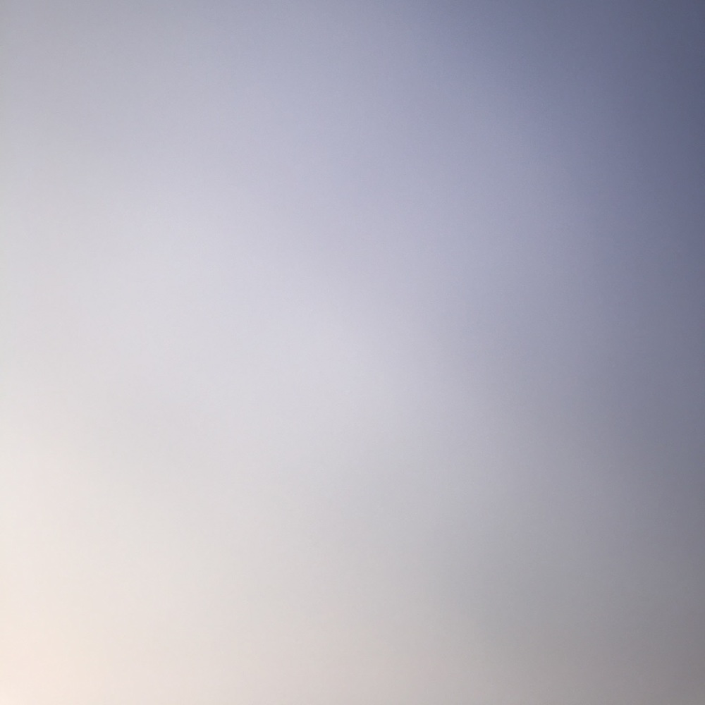 Meet your Posher, Taryn