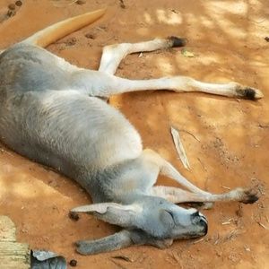 Meet your Posher, Lawrence