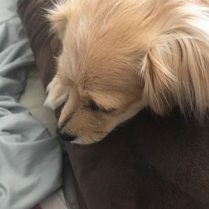 Meet your Posher, Cecilie