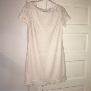 NWT Maggie London Cream Lace Sheath Dress 6