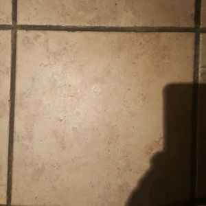 Meet your Posher, Francis