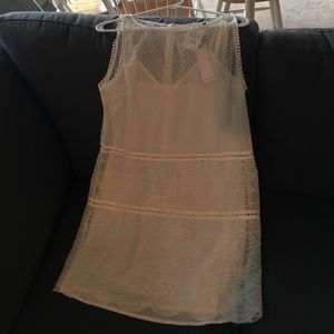 NEW BB Dakota Dress