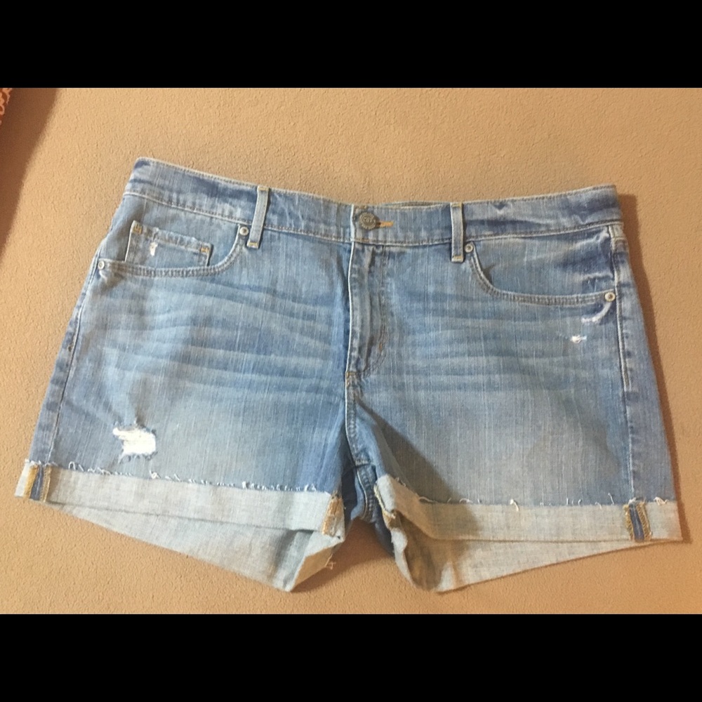 BNWT Loft Size 31 Denim Flip Cuff