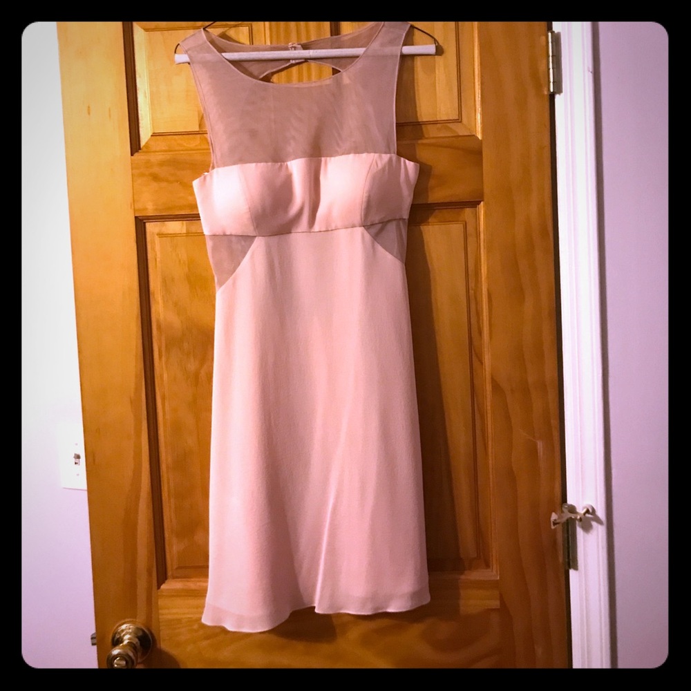 Backless BCBG MaxAzria light pink dress