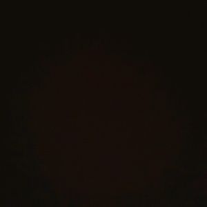 Meet your Posher, Rosa