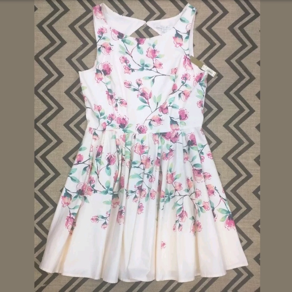 Lauren Conrad Dress Size 12