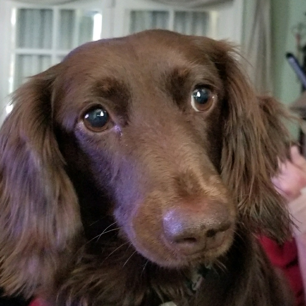 Meet your Posher, Steven