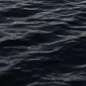 Meet your Posher, Jackson