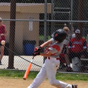 Meet your Posher, Owen