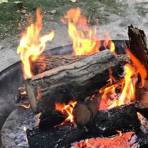 Meet your Posher, Penny