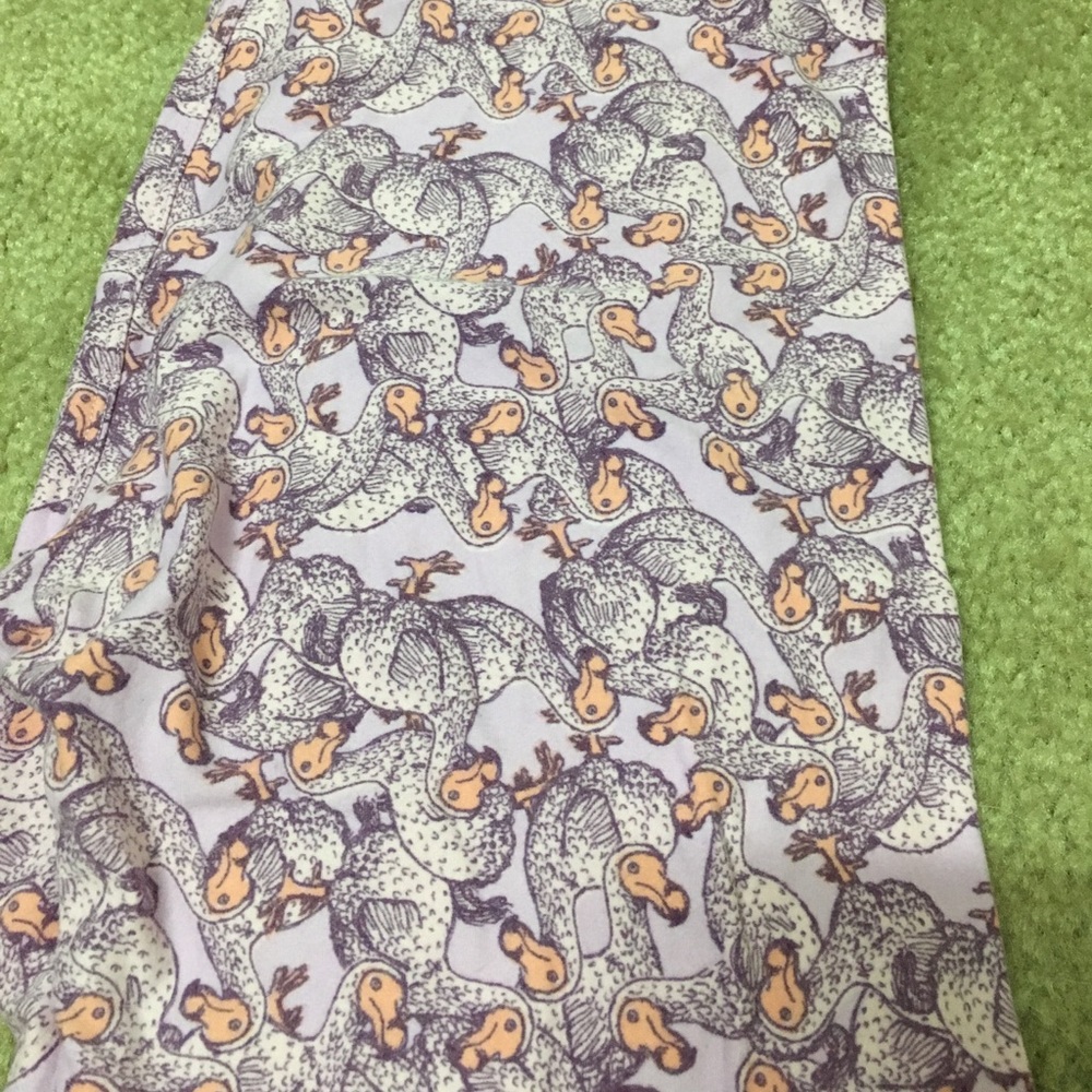 Lularoe One Size Leggings