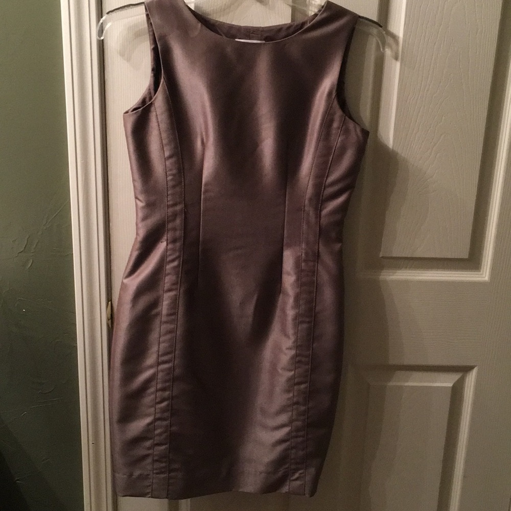 Calvin Klein Professional Dress