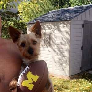 Meet your Posher, Veronica