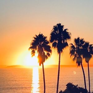 Meet your Posher, Theresa