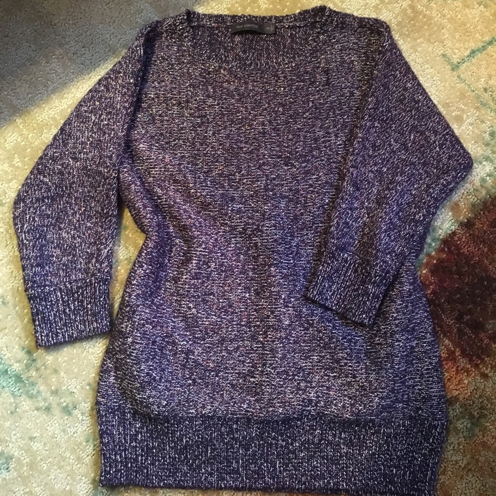 The Limited • Purple Glittery Chunky Sweater