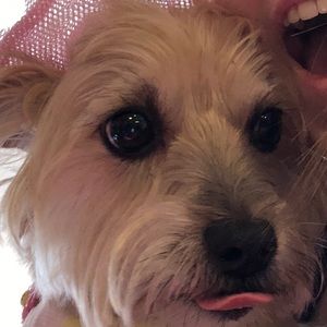 Meet your Posher, Nicole