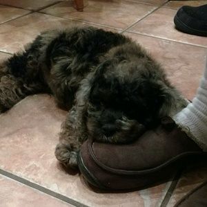 Meet your Posher, Robin