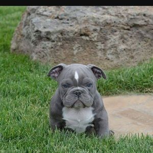 Meet your Posher, Jay