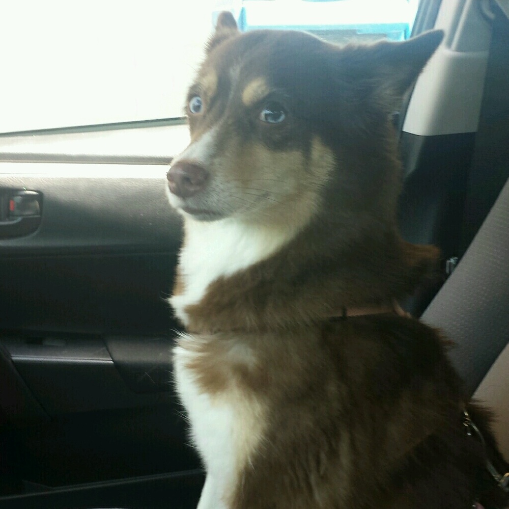 Meet your Posher, Nicole