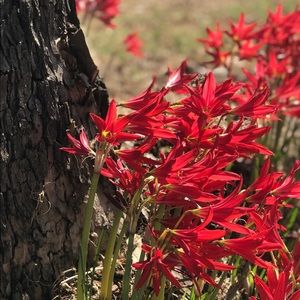 Meet your Posher, Chelsea