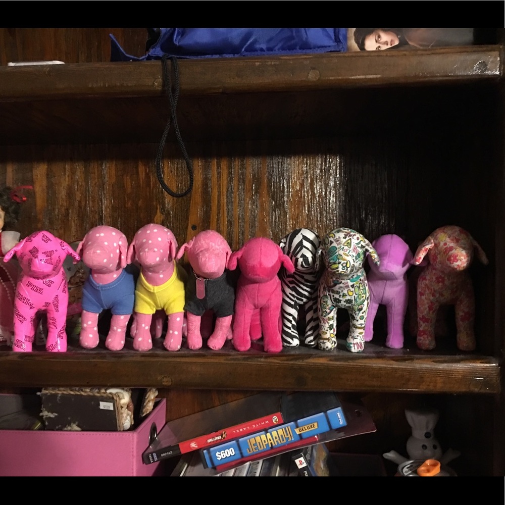 Victoria’s Secret pink dogs!