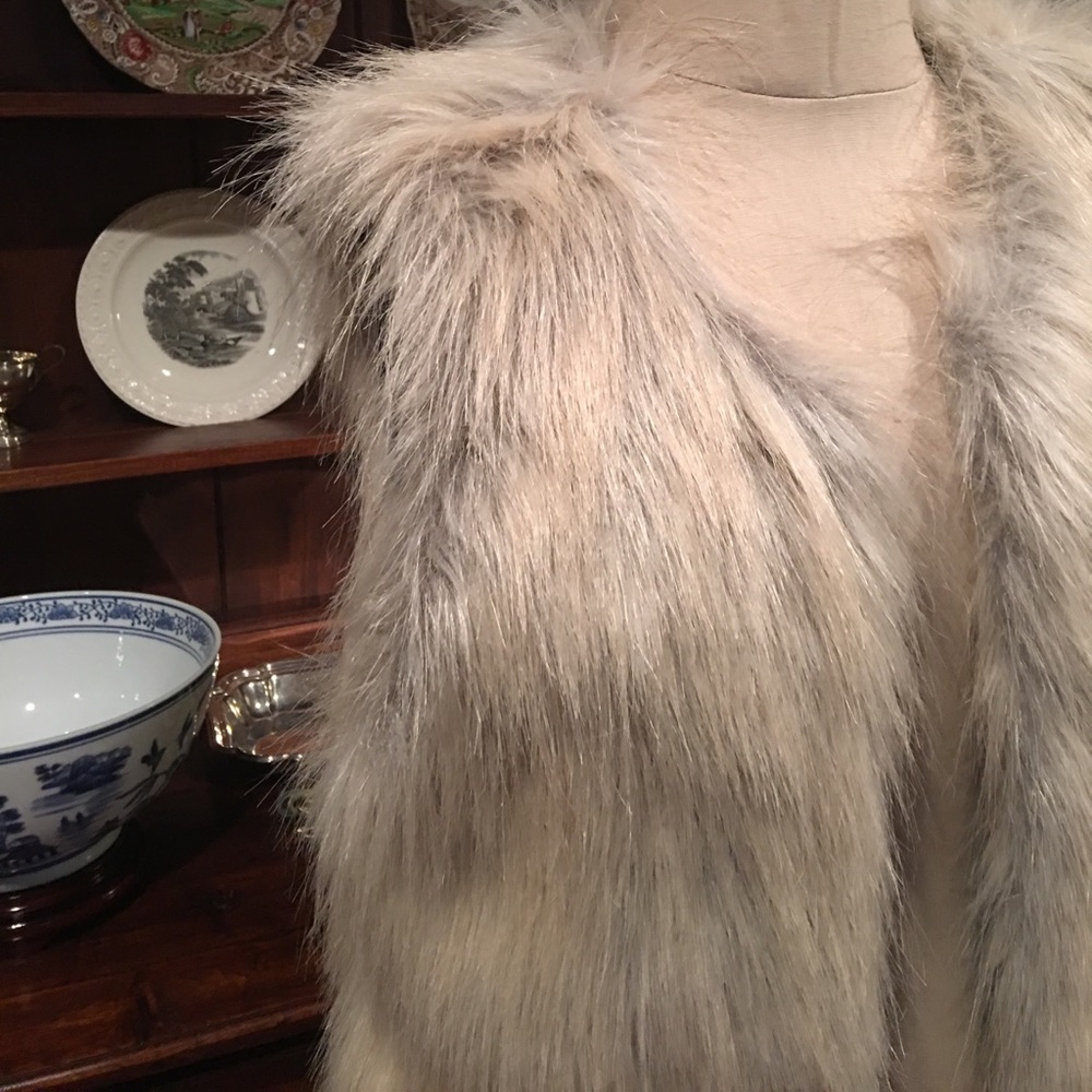 Sanctuary Faux Fur Vest - Picture 2 of 3