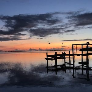 Meet your Posher, Abigail