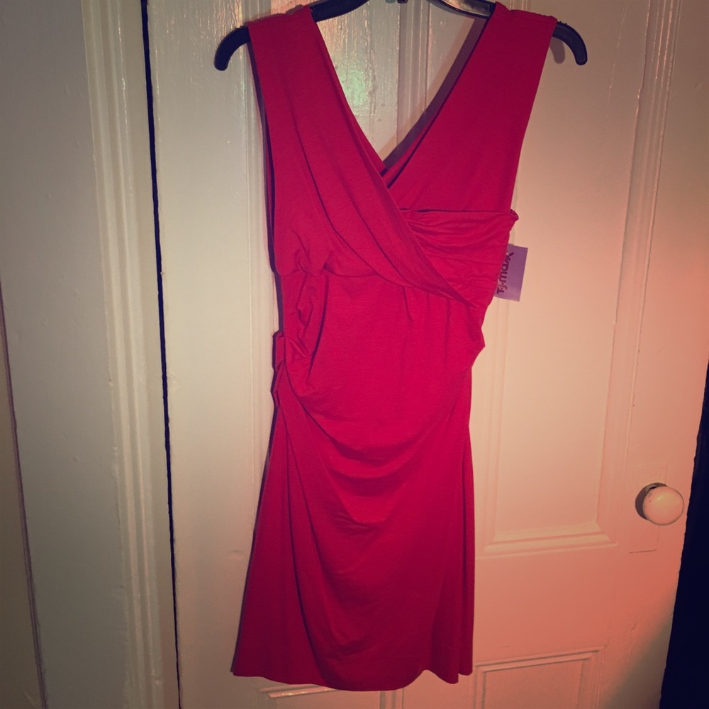 NWT Diane Von Furstenberg size petite dress