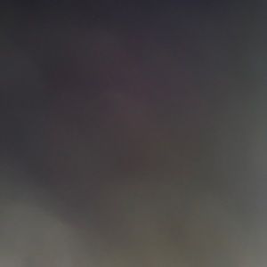 Meet your Posher, Diego