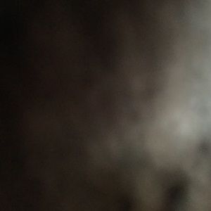 Meet your Posher, Jillian