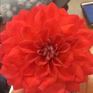 Meet your Posher, Kathryn