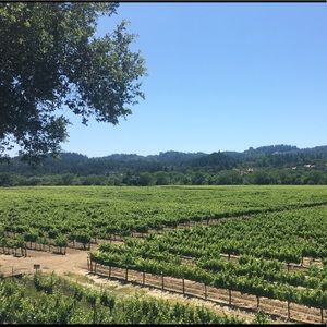 Meet your Posher, Chloe