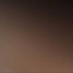 Meet your Posher, Bella