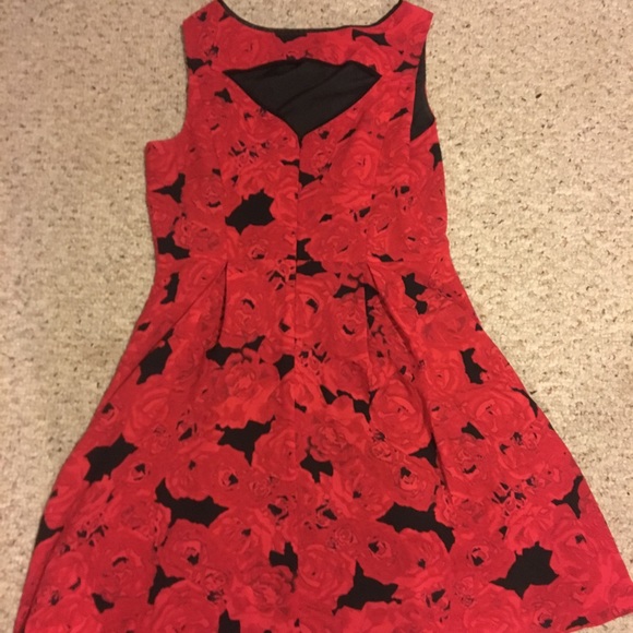 Roses dress - Picture 2 of 3