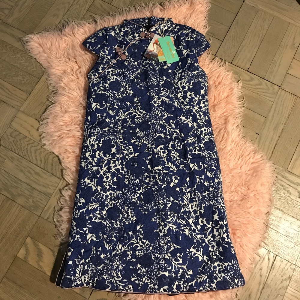 ❌SOLD Silk Lined Printed Dress from China