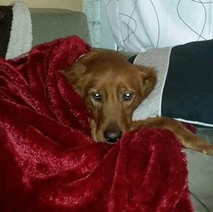 Meet your Posher, Denise